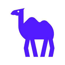 Camel-AI logo